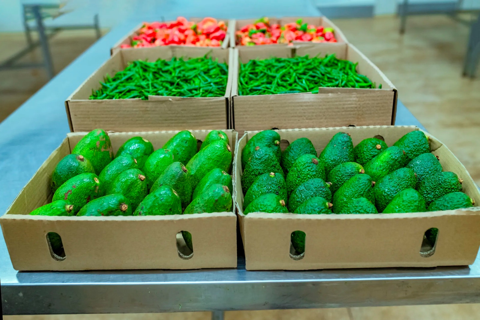 Boxes of fresh export avocados and peppers